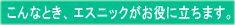 こんなとき、エスニックがお役に立ちます